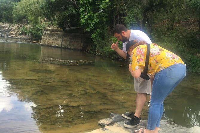 Dominican Republic Cultural Country Safari Tour from Punta Cana - Transportation, timing, and how the day actually flows