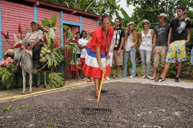 Dominican Safari Half Day... - The Basilica-Cathedral of Our Lady of Altagracia: A Sacred Stop With Real Atmosphere