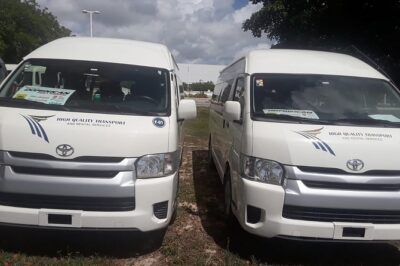 Dominican's Airport Transfer (Bavaro, Punta Cana, La Romana ) - Hotel and Resort Drop-Offs: Where This Transfer Actually Takes You