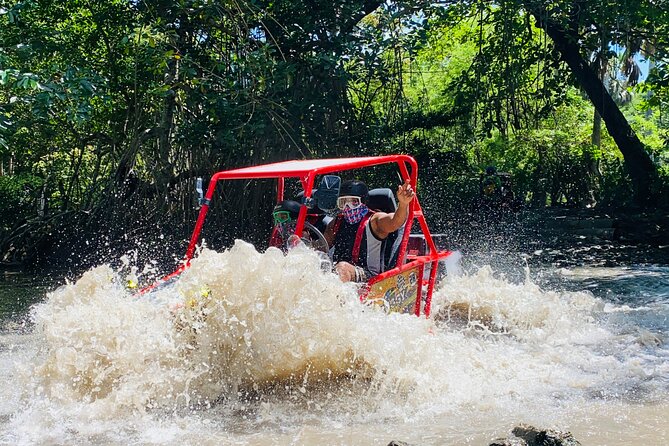 Dune Buggy Adventure from Amber Cove and Taino Bay Puerto Plata - Puerto Plata buggy thrills: what this tour really delivers