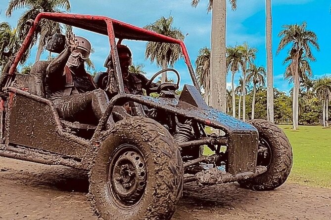 Dune Buggy Adventure from Amber Cove and Taino Bay Puerto Plata - The beach finish: wash off, cool down, and actually enjoy the mud