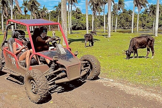 Dune Buggy Adventure from Amber Cove and Taino Bay Puerto Plata - RV Tours DR and guide support: what the good signs look like
