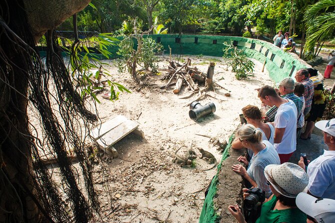 Eco Exploration: Golf Cart Adventure and Catamaran Cruise - A Day That Blends Nature, Food, and Water Time