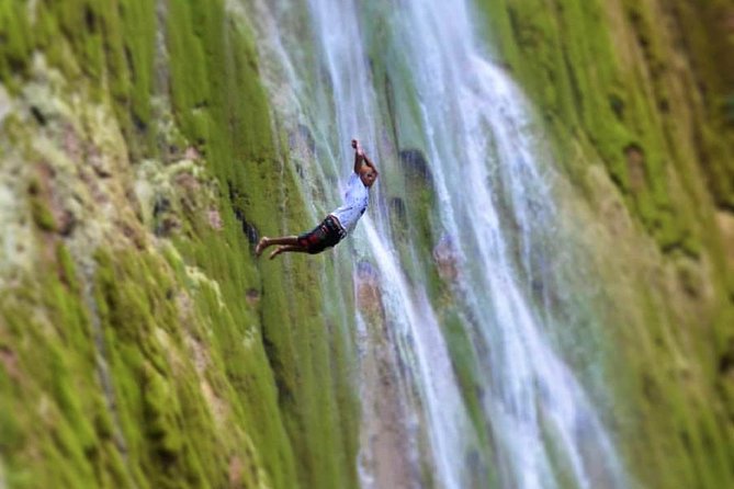 El Limón waterfalls Tour (horse riding & swimming) with lunch - Why El Limón Waterfalls Feel Like the Real Dominican Republic
