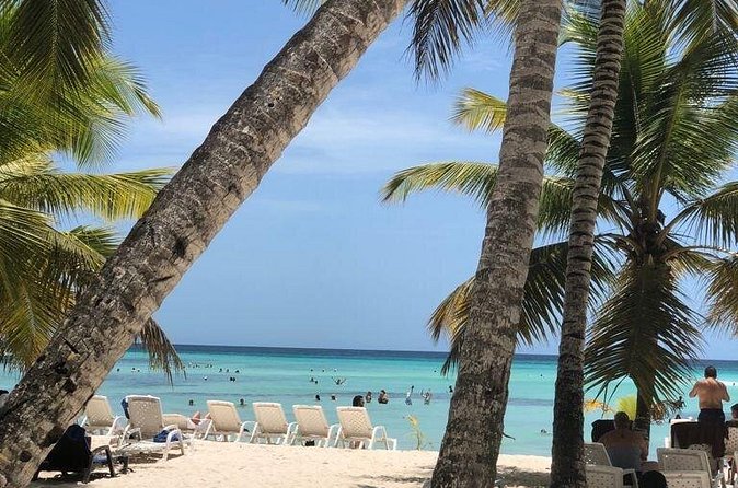 Excelence El Carmen - Round Trip Shuttle - Punta Cana Airport - Booking Timing and Service Window: When You Can Use It