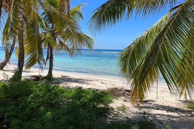 Exclusive Adventure in Saona: Small Group - Speedboat Day Trip to Saona: The Rhythm From Bayahibe