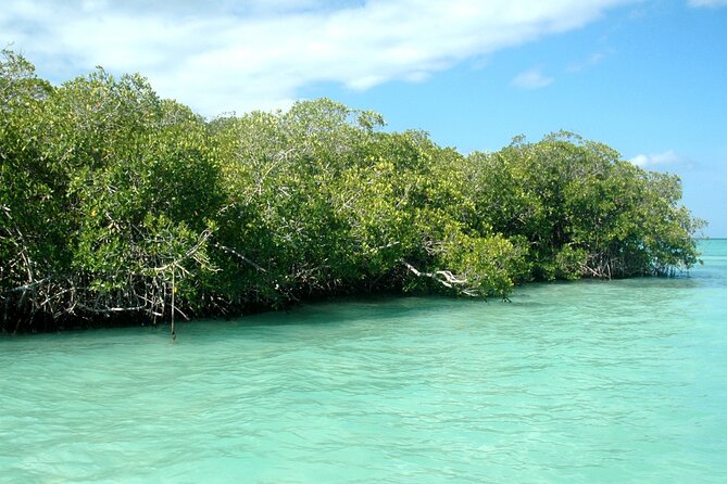 Exclusive Adventure in Saona: Small Group - How the Boat Experience Feels When You’re Not On a Big Fleet