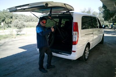 Exclusive Private Airport Transfer Service to Punta Cana - The pickup rhythm: fast, clear, and built for luggage