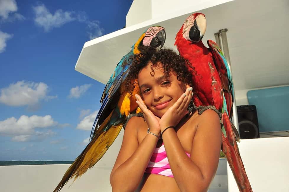 Excursión a Isla Saona desde Punta Cana (Todo incluido). - Price and Value Check: Is $89 a Smart Deal?