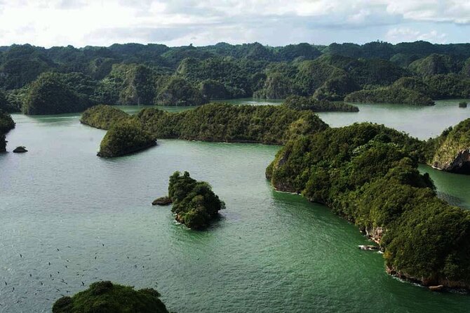 Excursion Los Haitises + Cayo Levantado (Bacardí Island) from Santo Domingo - Key highlights to look for