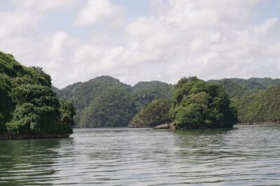 Excursion Los Haitises + Cayo Levantado (Bacardí Island) from Santo Domingo - Price and logistics: the parts that can make or break your day