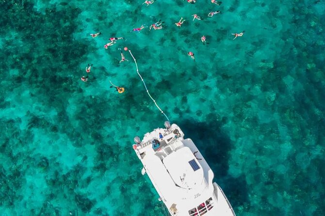 Excursion to Catalina Island and Snorkeling from Punta Cana - Snorkeling at The Wall: what you’ll see and what to expect