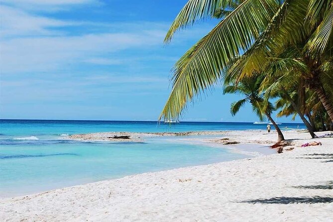 Excursion to Catalina Island and Snorkeling from Punta Cana - Catalina Island Beach Time and the Dominican lunch