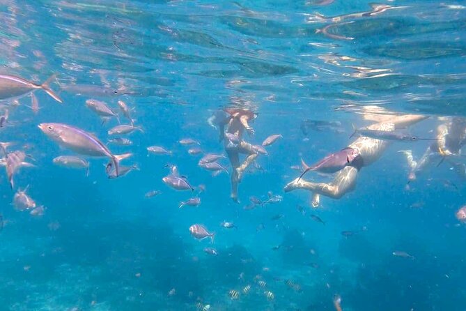 Excursion to Catalina Island and Snorkeling from Punta Cana - Open bar, comfort, and small-group energy on a capped tour