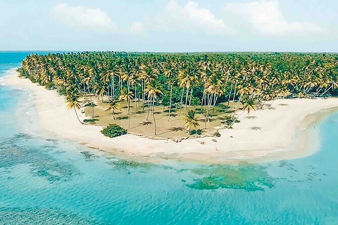 Excursion to Montaña Redonda and Playa Esmeralda from Punta Cana - Comfort and timing: staying relaxed from pickup to drop-off