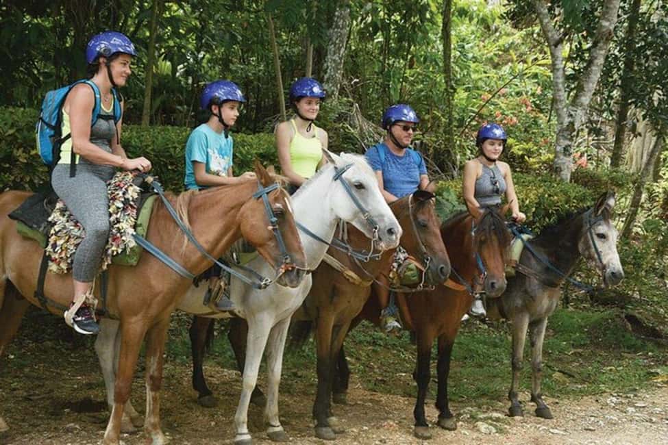 Excursion to Samaná, El Limón Waterfall and Bacardi Island from Punta Cana - Horseback through coffee and cocoa: what to do to feel confident
