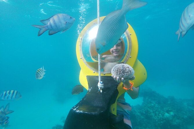 Experience a Submarine Scooter with ScubaDoo Punta Cana - Why a Submarine Scooter in Punta Cana Works So Well