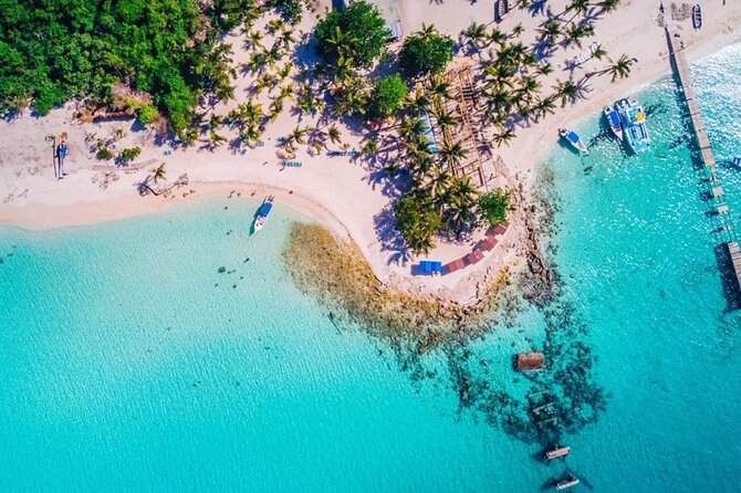 Experience Full Day Tour of Tropical Bliss at Isla Saona - Isla Saona beach time: what you’ll actually do on arrival