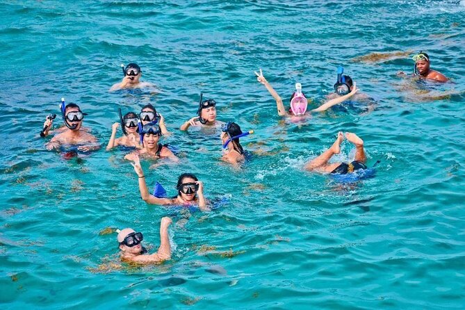 Experience Full Day Tour of Tropical Bliss at Isla Saona - Snorkeling stop: how to make the most of the water time
