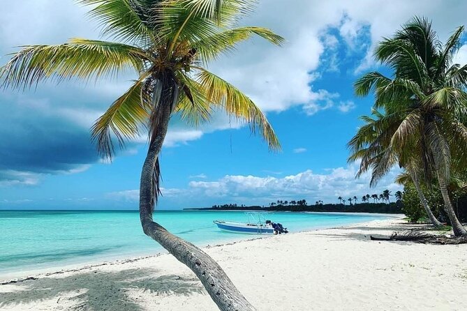 Experience Full Day Tour of Tropical Bliss at Isla Saona - The catamaran ride: your floating “preview” of Saona