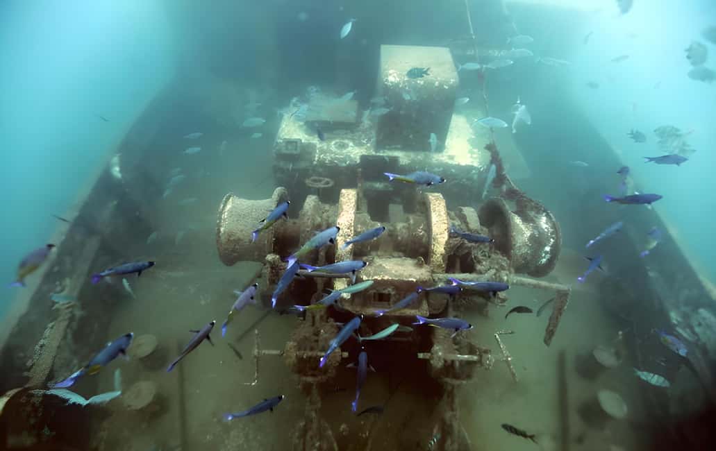 Experience the Exciting Caribbean Underwater World - Crew energy and group vibe: what you’ll feel onboard