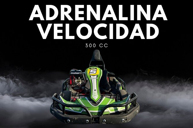 Experience the thrill of karting in Punta Cana - Punta Cana go-karting on a proper circuit (not just a quick spin)
