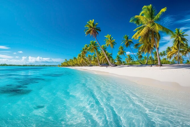 Explore Catalina Island & Snorkeling Adventure from Punta Cana - Key things I’d flag before you go