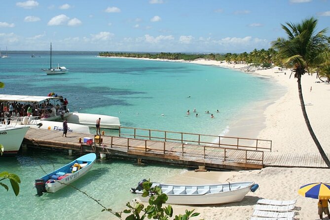 Explore Catalina Island & Snorkeling Adventure from Punta Cana - Catalina Island & snorkeling from Punta Cana: what this day really delivers