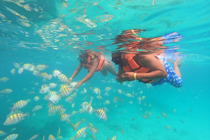 Explore Catalina Island & Snorkeling Adventure from Punta Cana - Catalina Island beach time, lunch, and open-bar vibes
