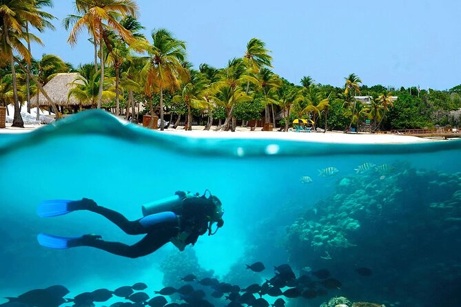 Explore Catalina Island & Snorkeling Adventure from Punta Cana - Price and value: is $80 worth it?
