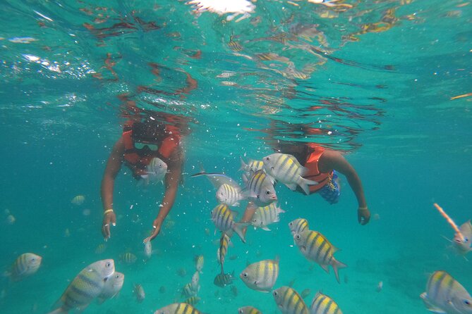 Explore Catalina Island & Snorkeling Adventure from Punta Cana - Who this trip fits best (and who might want to skip)