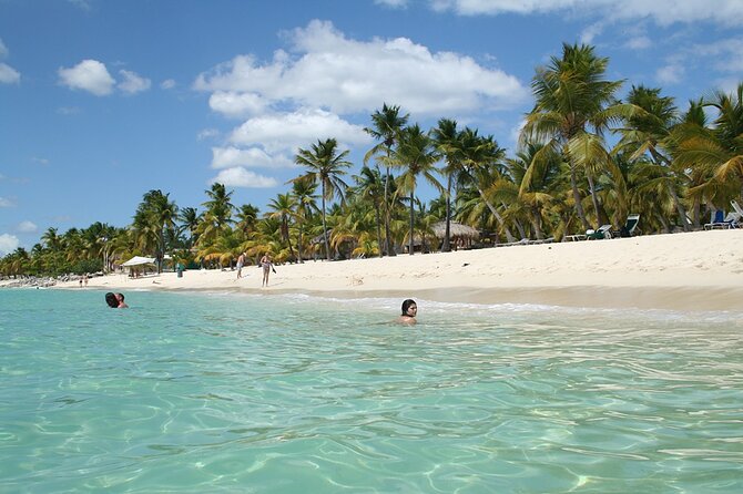 Explore Catalina Island & Snorkeling Adventure from Punta Cana - Getting picked up and boarding Paradise: the morning flow