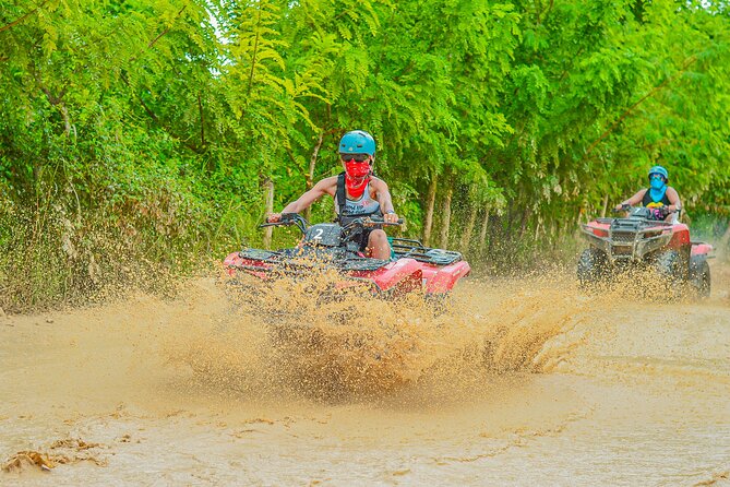 Explore Punta Cana in Buggy - Dominican house tasting: coffee, cacao, and mamajuana with a local feel
