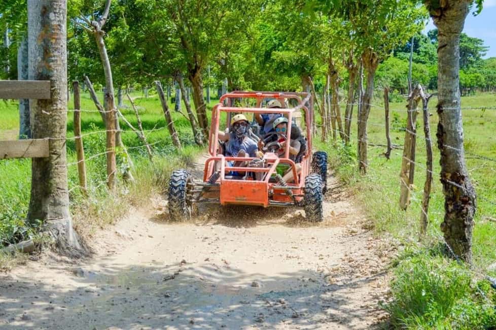 Extreme Dune Buggy Adventure in Macao Beach & Cenote - Cenote Expectations: What to Confirm Before You Arrive