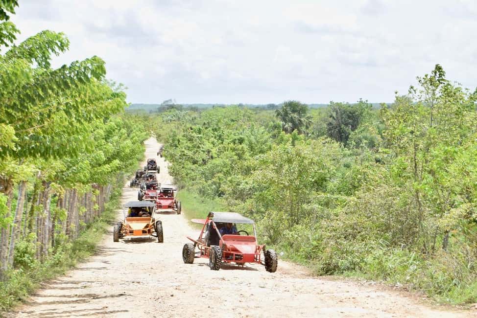 Extreme Dune Buggy Adventure in Macao Beach & Cenote - What to Bring (and What Gets You Turned Back)