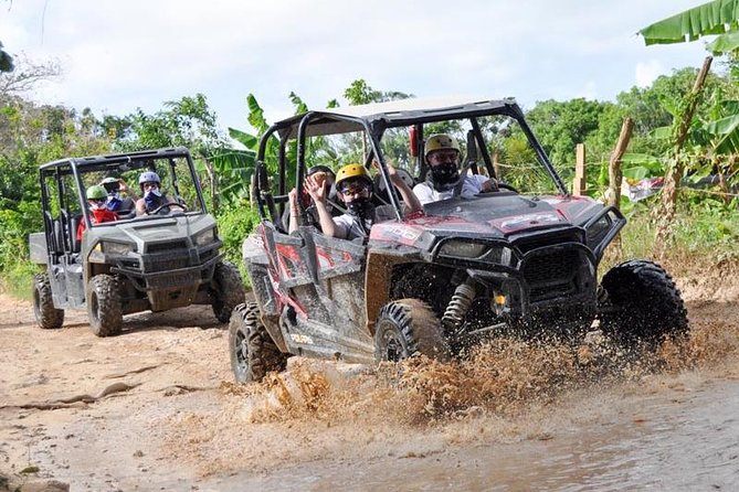 Family Polaris - Suzuka Tours Punta Cana - Quick Hits: What Makes Family Polaris in Punta Cana Worth Your Time