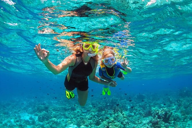 Family Snorkeling Adventure Punta Cana - Quick Takeaways