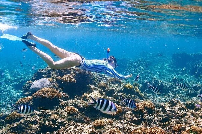 Family Snorkeling Adventure Punta Cana - Included Drinks and Snacks: What You Actually Get