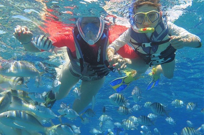 Family Snorkeling Adventure Punta Cana - Group Size and the Party-Boat Vibe