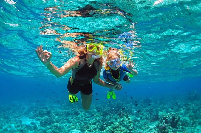 Family Snorkeling Adventure Punta Cana - How to Judge the $75 Price for This 3-Hour Family Trip