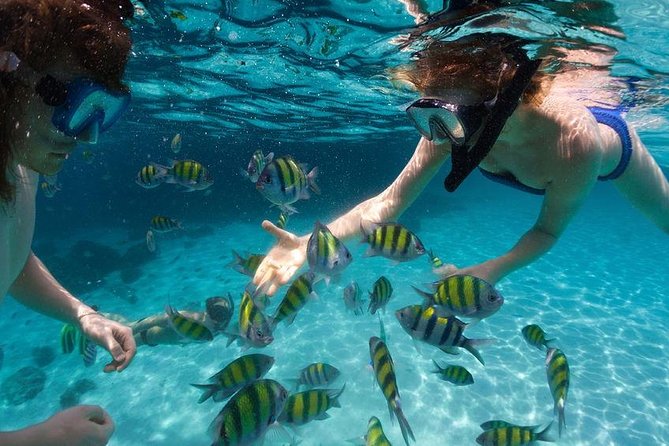 Family Snorkeling Adventure Punta Cana - Who This Tour Fits Best (and Who Should Skip It)