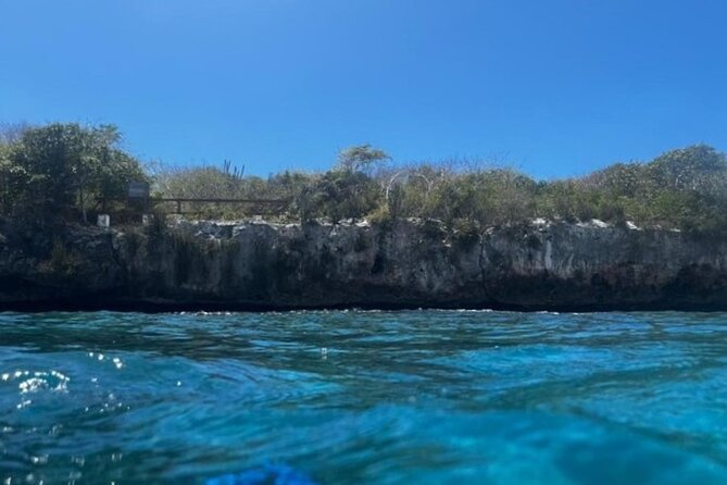 Fantastic Catalina island, beach and depth - Food, Beer, Rum, and Snacks: Included Comfort That Matters