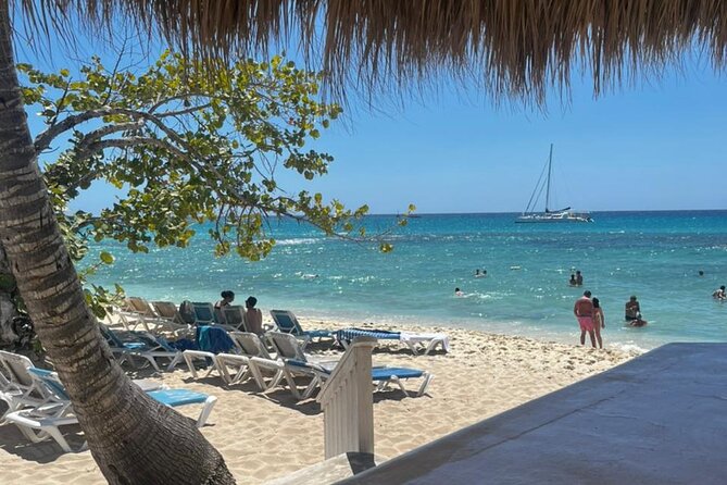 Fantastic Catalina island, beach and depth - Price and Value: What You Pay for $113