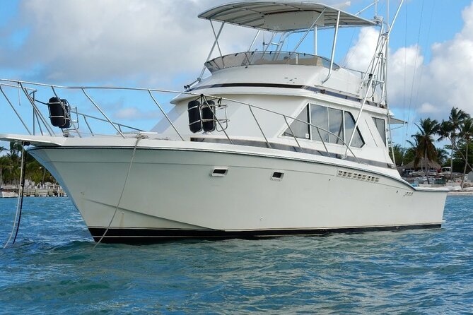 Fishing Adventure Punta Cana – Full Experience Professional - Offshore fishing targets: what you’re hoping to catch