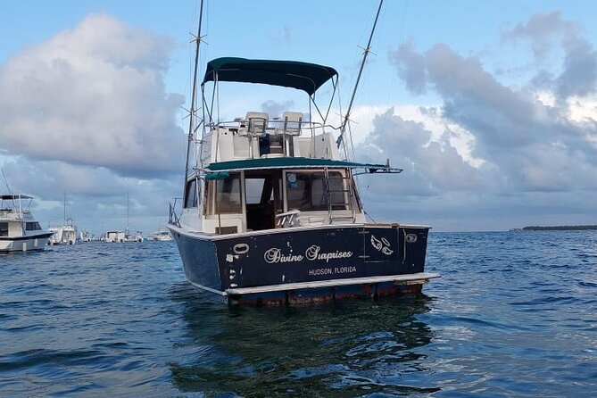 FISHING PRO CHARTERS - Boat Excursion - Divina - The fish list you can actually aim for in Punta Cana