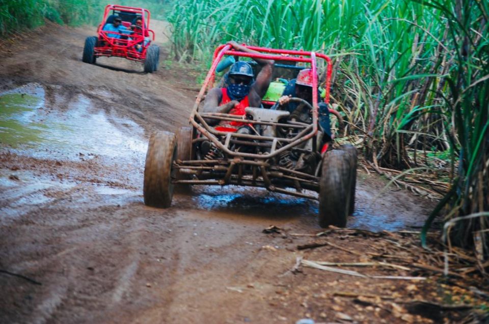 From Bayahibe: Half-day La Romana ATV or 4X4 Buggy Tour - Chavón River swimming and the famous-water factor