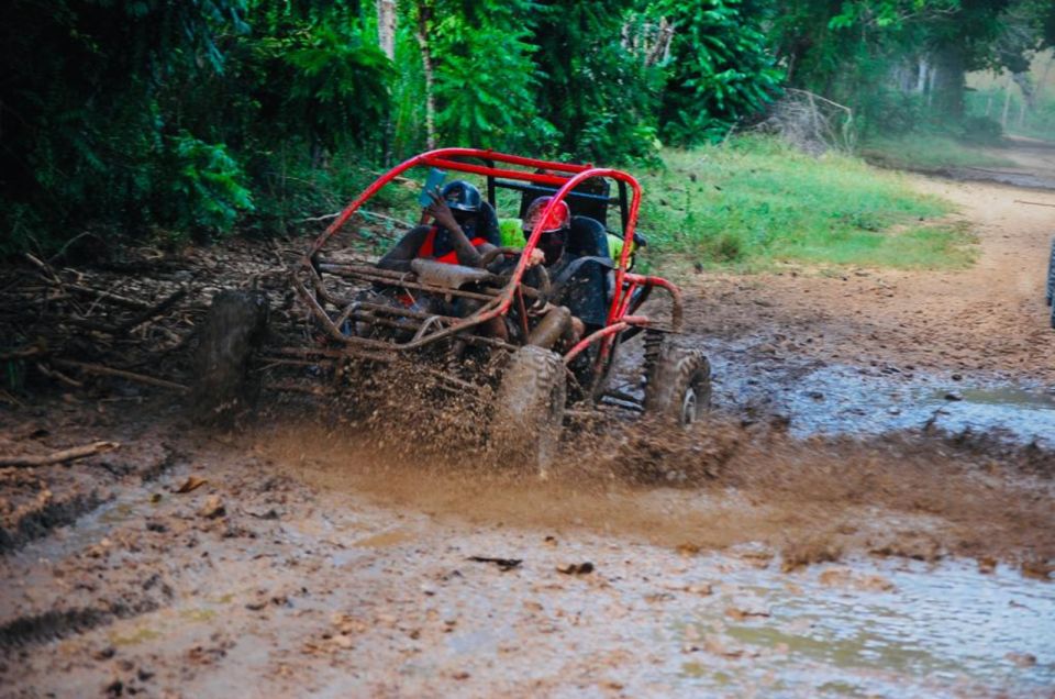 From Bayahibe: Half-day La Romana ATV or 4X4 Buggy Tour - The ranch tastings: coffee, cacao, fruits, and chocolate