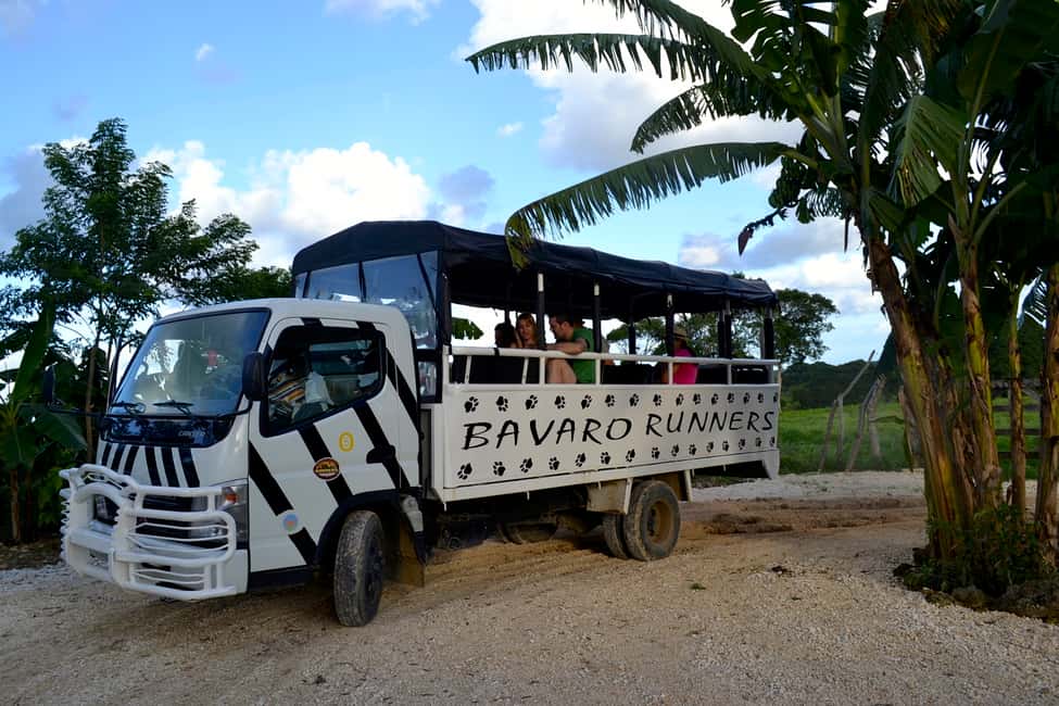 From Bayahibe: Half Day Monkeyland Safari - Coffee plantation and guided learning stops