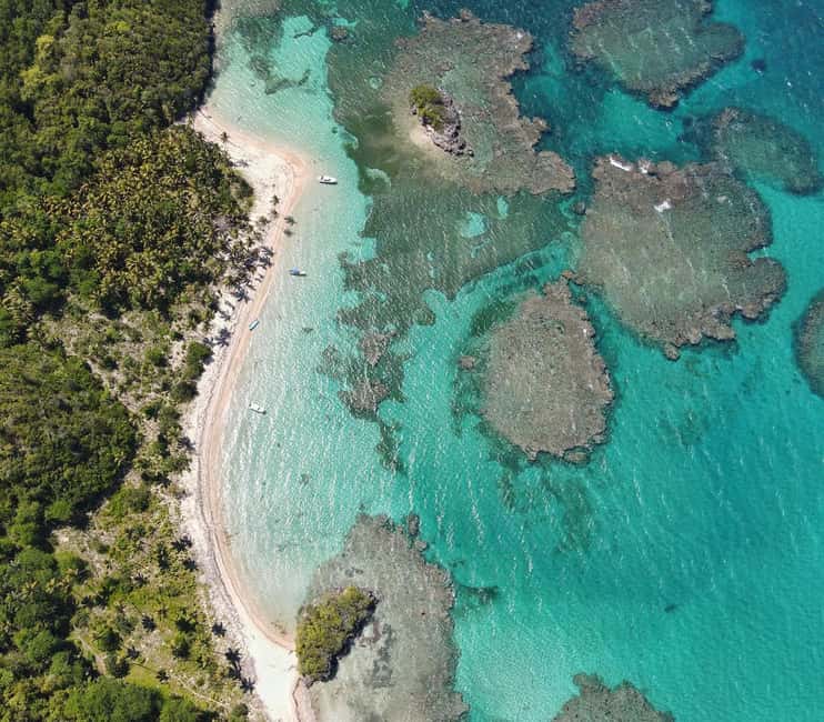 From Los Melones: Saona Island Day Trip with Lunch - From Los Melones to Isla Saona: The Rhythm of a 7-Hour Beach Adventure