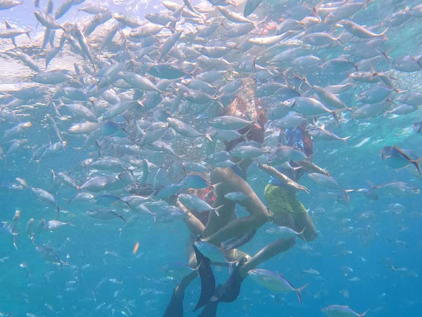From Punta Cana: Catalina Island Swim, Sail & Snorkel - Who this tour fits best (and who should skip it)